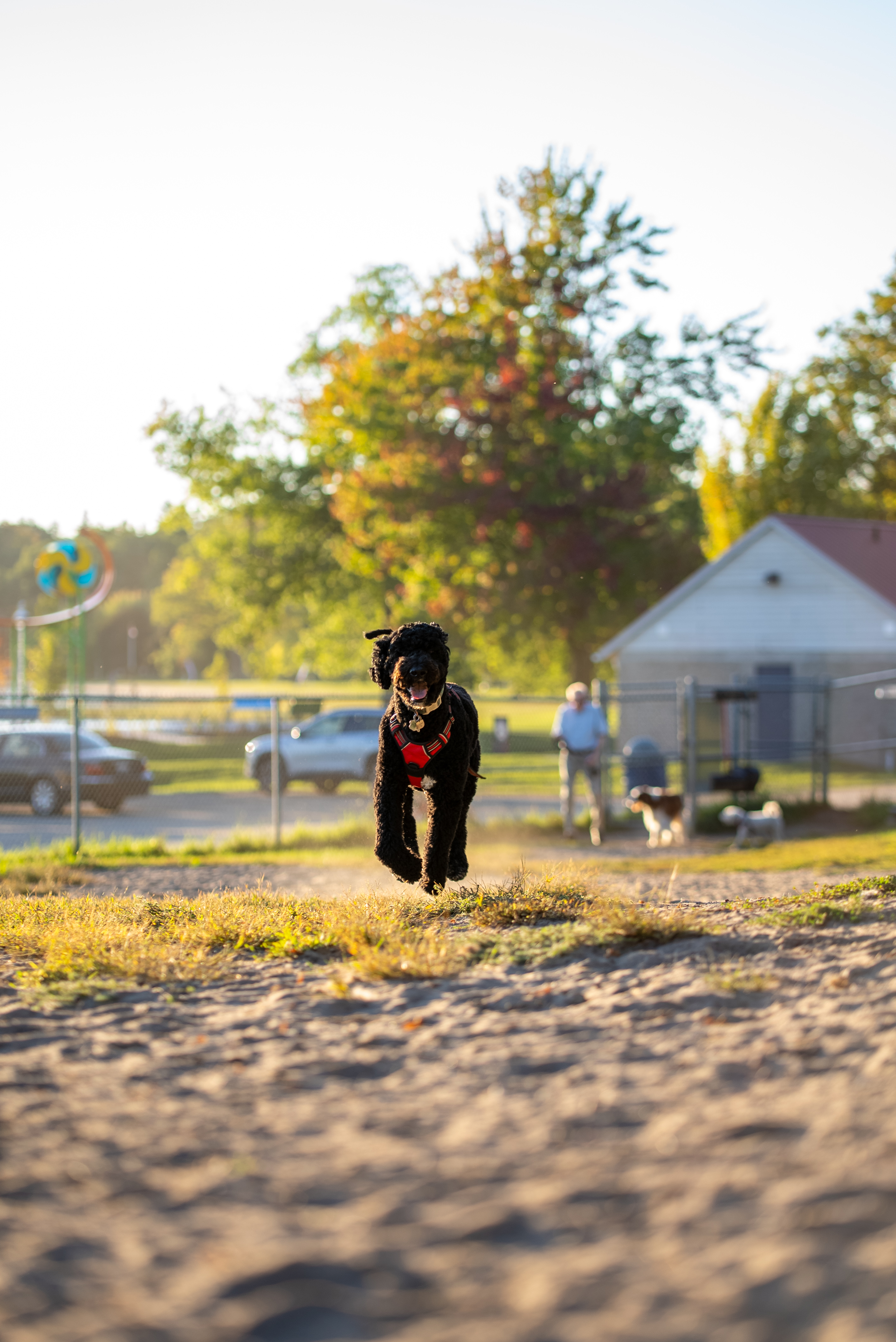DogPark 07130